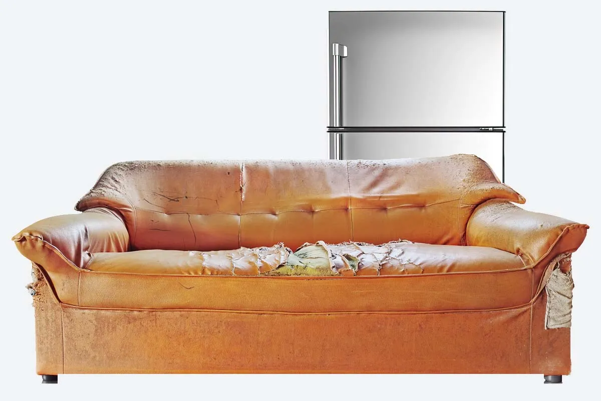 Waste disposal service in Crouch End, N8