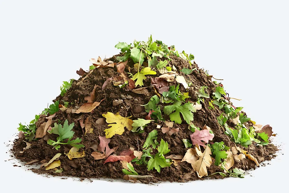 Garden waste removal in North London